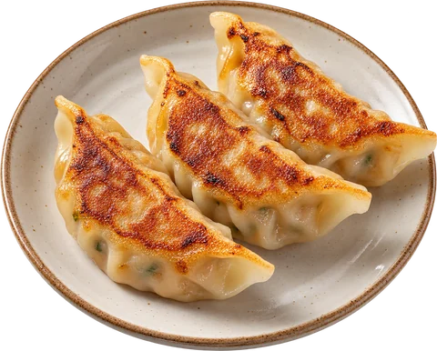 Gyozas au poulet